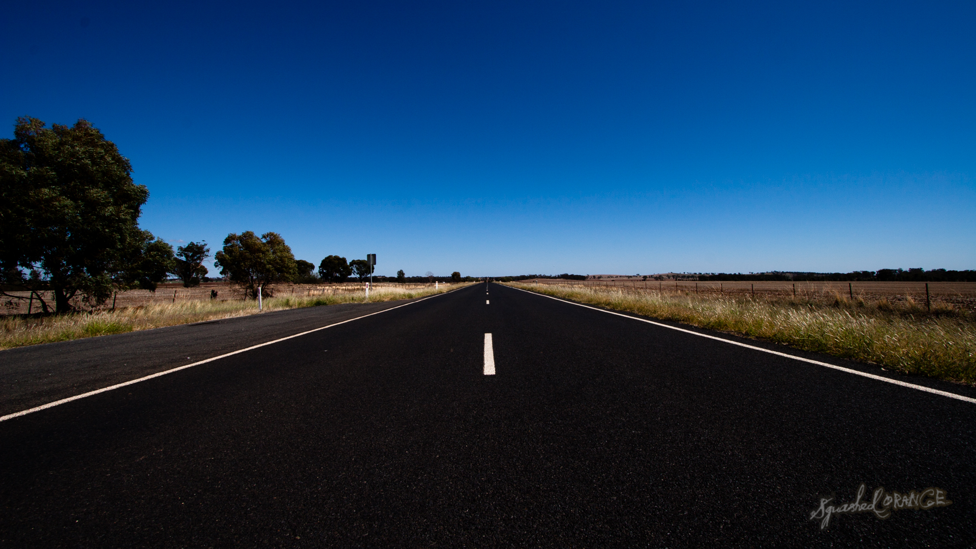 Open Road Squashed Orange
